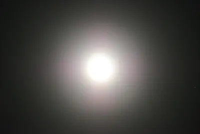 DSC_0740 (Large).JPG